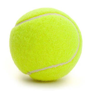 Meet your Posher, Bob